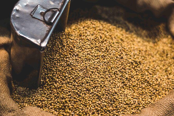 Spice Market & Old Delhi Highlights: Guided 3-Hour Tour - Getting there: Connaught Place meetup and the metro jump to Chawri Bazar