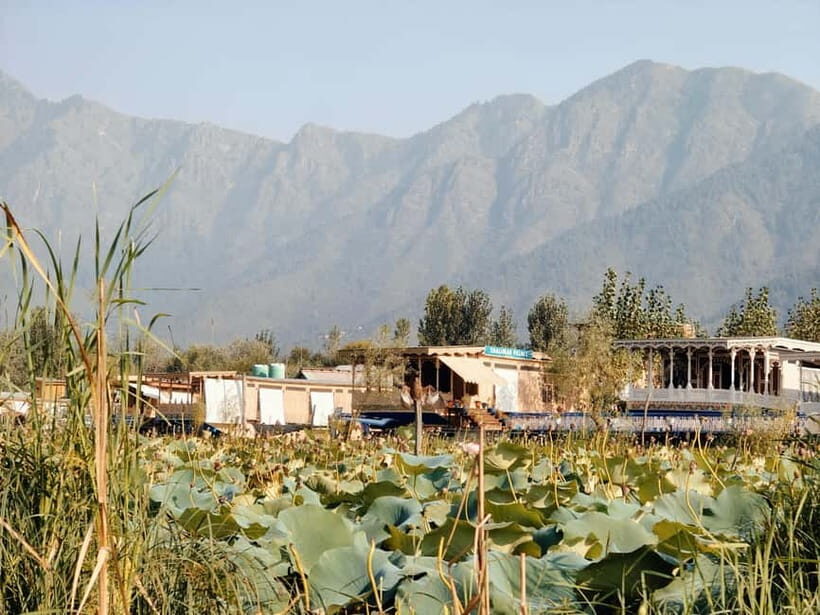 Srinagar: Private Old City and Mughal Gardens Guided Tour - Nishat and Shalimar: Mughal Gardens where you can actually breathe