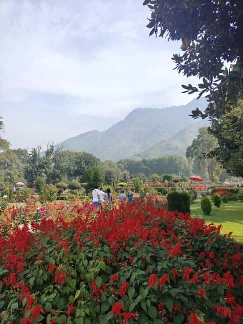 Srinagar: Private Old City and Mughal Gardens Guided Tour - Evening arts & crafts factory visits: gifts with a story