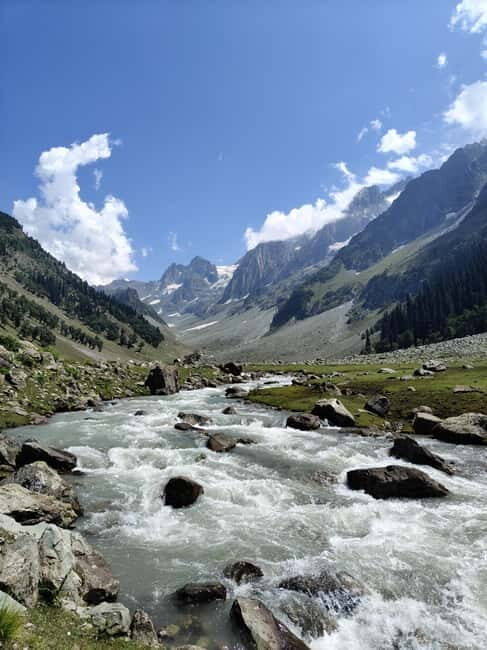 Srinagar: Sonamarg Day Tour - The Golden Meadow Adventure - Sonamarg, the Meadow of Gold: what you’ll do in town