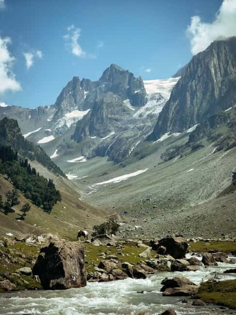 Srinagar: Sonamarg Day Tour - The Golden Meadow Adventure - Timing, weather, and what to pack for snow-country