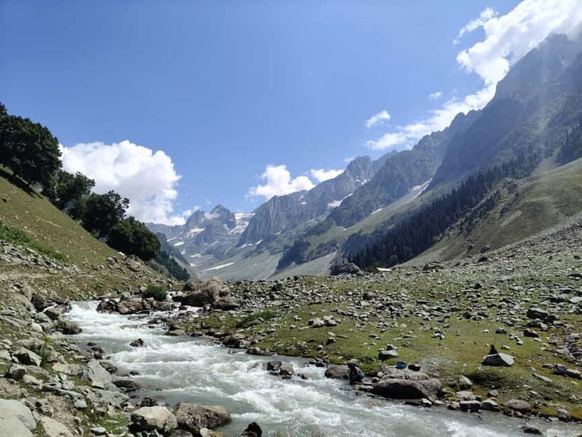 Srinagar: Sonamarg Day Tour - The Golden Meadow Adventure - Price and value: is $55 fair for a day trip like this?