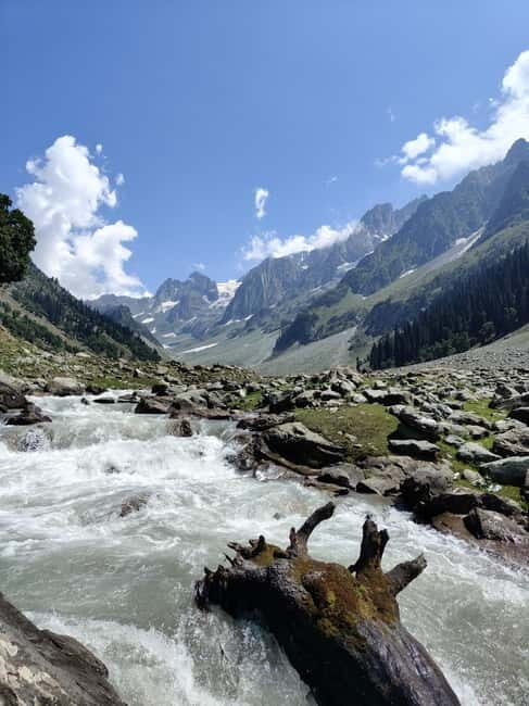 Srinagar: Sonamarg Day Tour - The Golden Meadow Adventure - FAQ