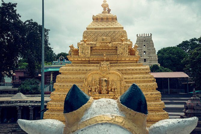 Srisailam Temple full day excursion tour - Key things I’d pin on your planning board