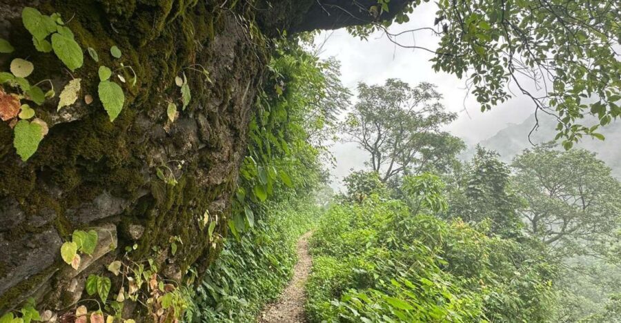 Sunrise Day Hike in Rishikesh - Kunjapuri Hill: why this sunrise hike feels different
