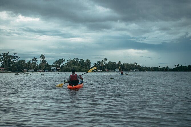 Sunrise Kayaking in Magical Alleppey Backwater Village - Timing that actually works: meeting at 5:00 and back by 8:30