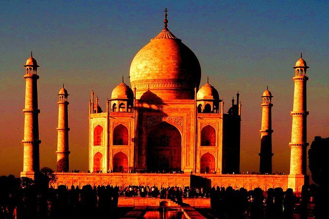 Sunrise Taj Mahal Day Trip from Delhi with Guide & Transfers - The guide and driver quality: what the reviews teach you