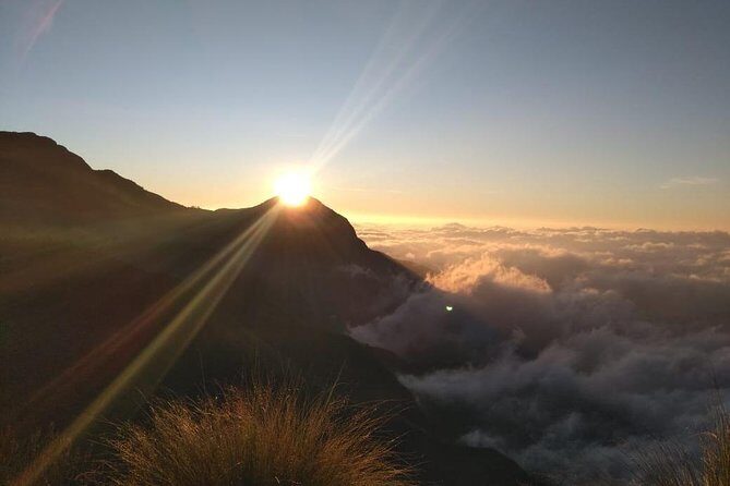 Sunrise Tour in Top Station, Munnar ( By Munnar Info) - Sunrise at Top Station: why the early start works