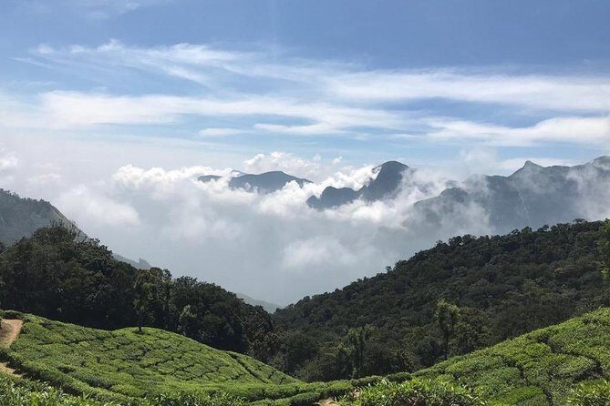 Sunrise Tour in Top Station, Munnar ( By Munnar Info) - Private tour logistics: pickup fees, mobile tickets, and real value