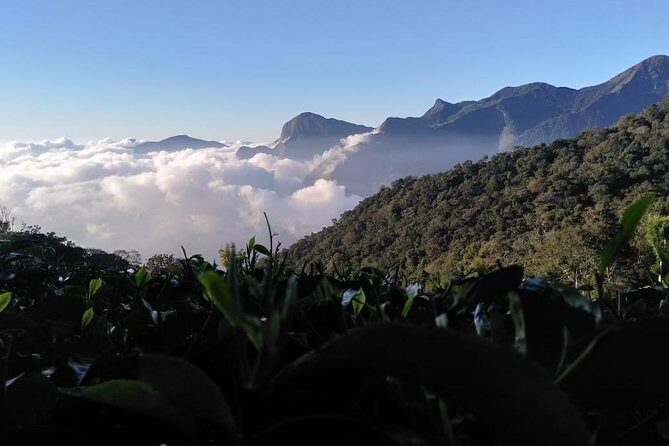 Sunrise Tour in Top Station, Munnar ( By Munnar Info) - Ropeway-era valley views plus short scenic breaks