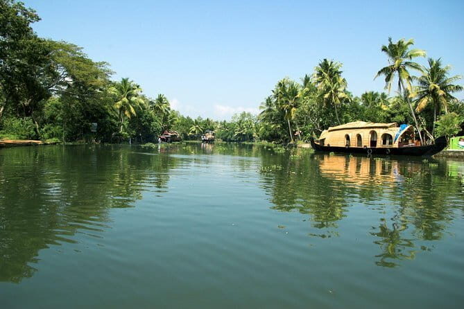 Sunset Kayaking in Hidden Alleppey Backwater Routes - The island tea/coffee break: small pause, big payoff