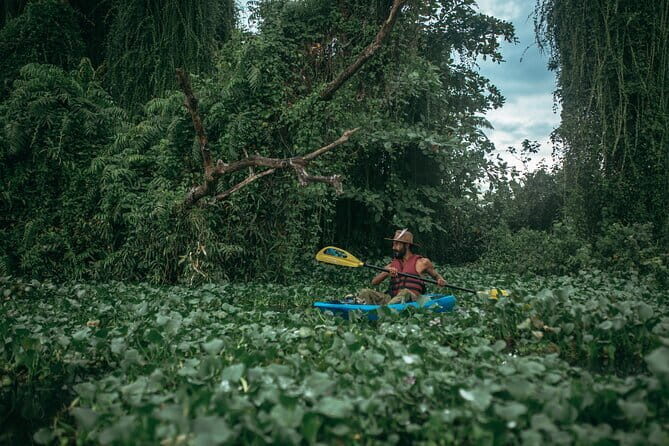 Sunset Kayaking in Hidden Alleppey Backwater Routes - Getting your kayak legs: life jackets and a quick drill