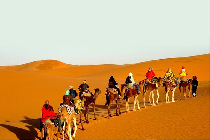 Sunset Safari With Dinner - Setting Off From Jaisalmer at 3:00 PM