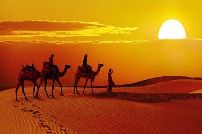 Sunset Safari With Dinner - Timing and Return to Jaisalmer Around 10:00 PM