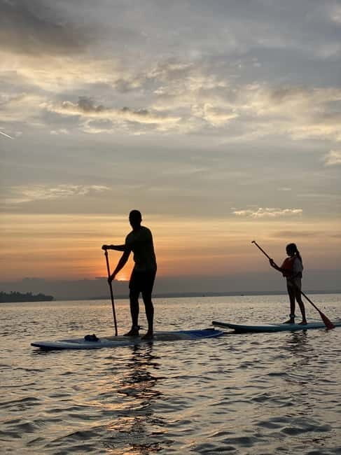 SUP in Kochi: Sunrise Stand-Up Paddleboarding Tour - Meeting at Ramada Resort jetty: what setup actually feels like