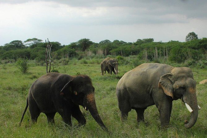 Taj Mahal, Agra Fort & Elephant Rescue Sanctuary Private Day Trip - Agra Fort: turning a walk into a Mughal story