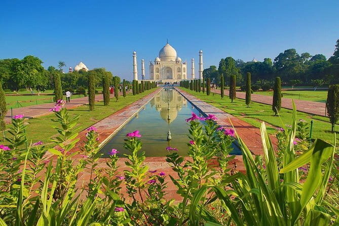 Taj Mahal Private Tour (Viator Award Winner) - Price and Value: Why $43 Can Make Sense (or Not)