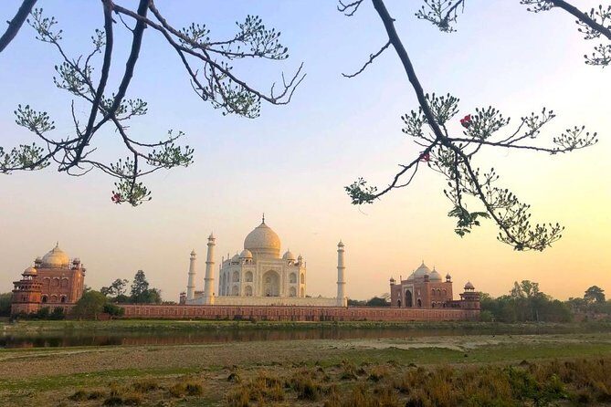 Taj Mahal Sharing Same Day Trip From Delhi Including all - Who should book this Taj Mahal and Agra Fort day trip