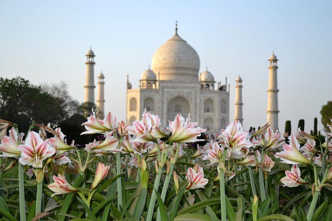 Taj Mahal Sunrise and Agra Overnight Tour from Chennai - Day 1: Chennai airport transfer, flight to Delhi, Agra arrival