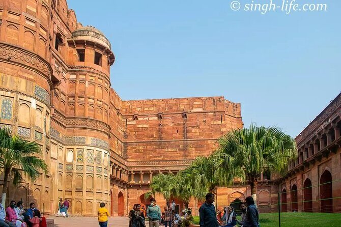 Taj Mahal Sunrise Tour with Elephant Conservation From Delhi - The elephant conservation stop: SOS Wildlife Elephant Sanctuary, not a show