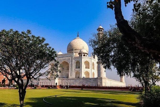 Taj Mahal Tour From Delhi - What the guide experience is like in practice