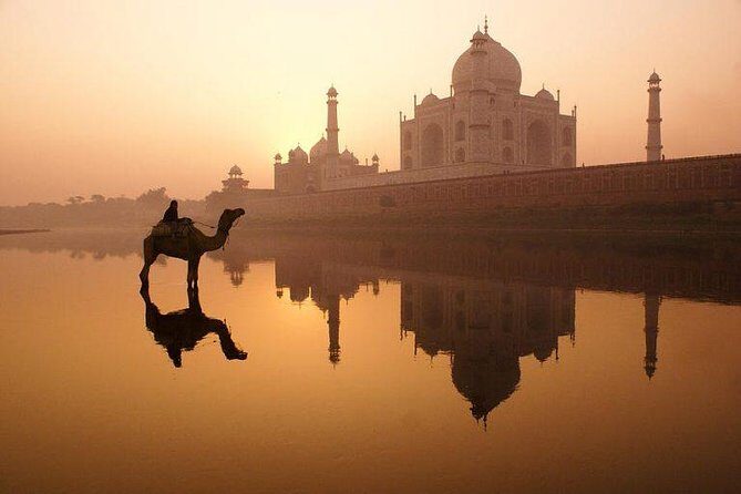 Taj Mahal Tour from Delhi by India's Fastest Train (GATIMAAN EXP) - Stop 1: Nizamuddin Railway Station and the morning momentum