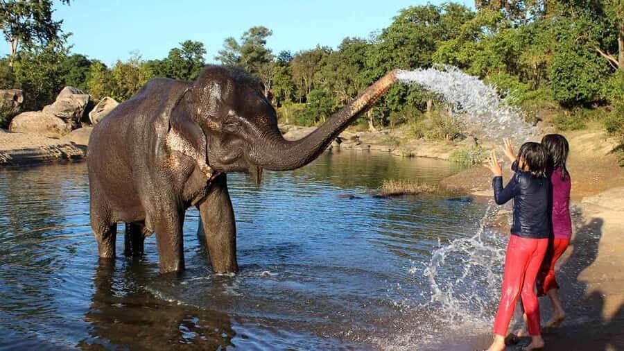 Taj Mahal Tour with Optional Wildlife Rescue Center Visit - How the Taj Mahal Sunrise Tour Starts From Delhi