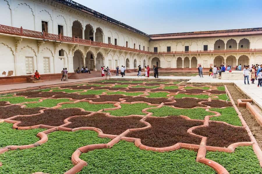Taj Mahal Tour with Optional Wildlife Rescue Center Visit - Lunch in Agra: Don’t Overpack the Afternoon