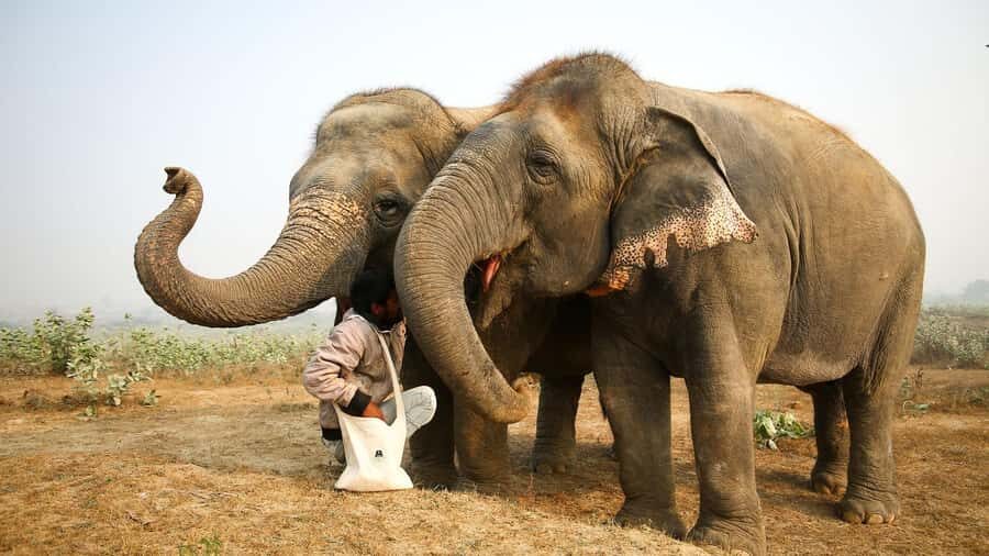 Taj Mahal Tour with Optional Wildlife Rescue Center Visit - Photo Spots and Timing: Making the Sunrise Actually Work