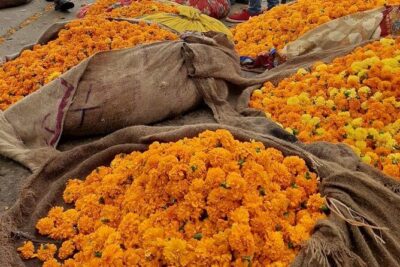 Take in the Beauty of an Early Morning with Fresh Flowers - Starting at Hawa Mahal: the photo stop that sets the tone