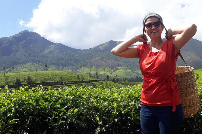 Tea Farm Tourism - Key highlights worth your time