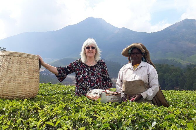 Tea Farm Tourism - The starting point and timing that keep it easy