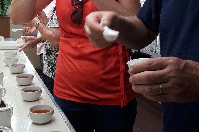 Tea Farm Tourism - Logistics you should know before you go