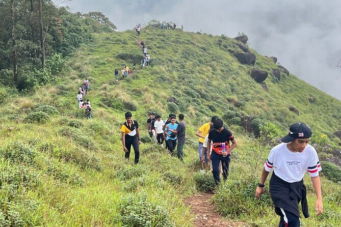 Tea Plantation, Grass Land and Mountain Hiking in Munnar - Key highlights worth getting excited about