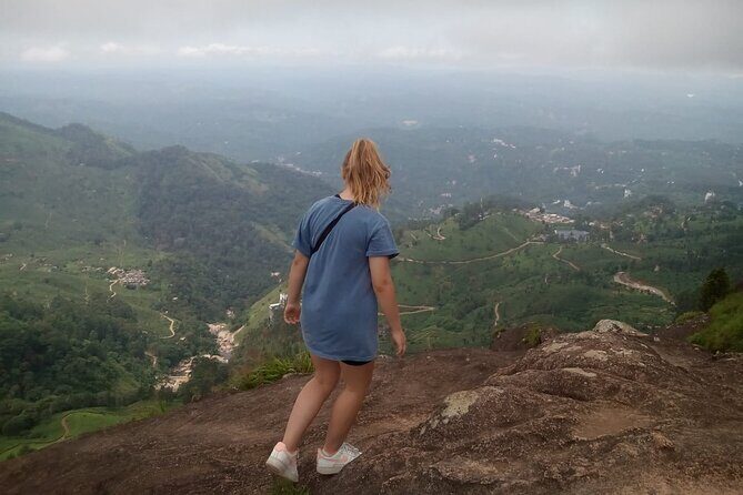 Tea Plantation, Grass Land and Mountain Hiking in Munnar - Where the hike starts: KSRTC Depot and a 7:00 am meeting