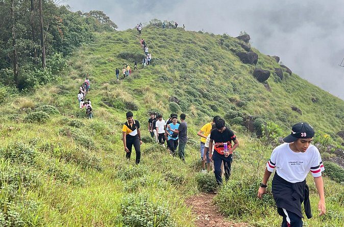 Tea Plantation, Grass Land and Mountain Hiking in Munnar - The near-top rest: where Munnar spreads out below you