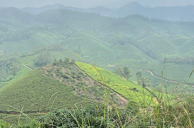 Tea Plantation, Grass Land and Mountain Hiking in Munnar - Descending back to the start: finish without drama