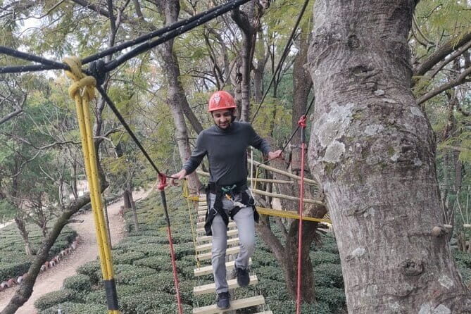 Tea Top Adventure Activities - The tea estate views: when the setting becomes part of the action
