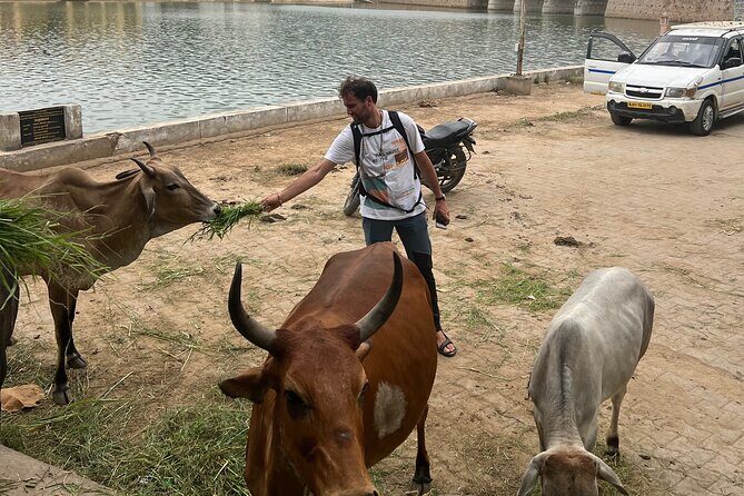 Temples Walk around 52 Ghats ( Spiritual Tour )-The Pushkar Route - Gau Ghat and Brahma Ghat: Gandhi to Maha Arti