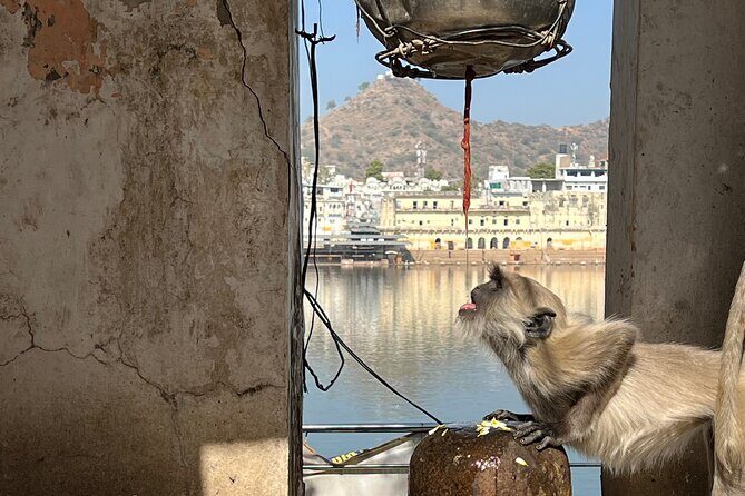 Temples Walk around 52 Ghats ( Spiritual Tour )-The Pushkar Route - Prachin Shree 108 Mahadev Ji Ka Mandir: A Rare Sight You Can’t Fake