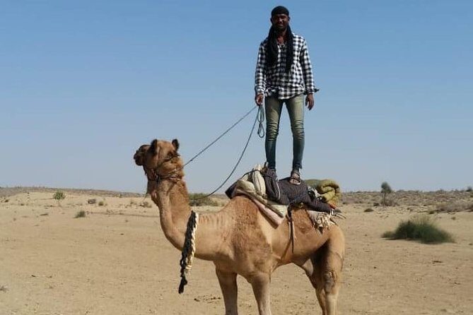 Thar Desert Camel Tour, Guide with over 25 years of experience! - Key things I’d plan around