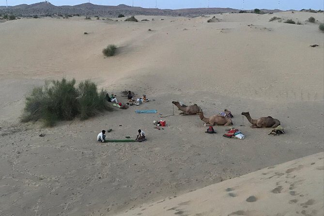 Thar Desert Camel Tour, Guide with over 25 years of experience! - Village stop and camel ride timing: what the day actually feels like
