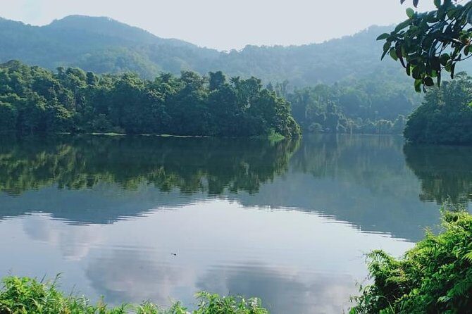 Thattekad Guided Bird Walk. - Entering Thattekad Bird Sanctuary: what you’re really paying for