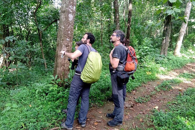 Thattekad Guided Bird Walk. - What you’ll spot: woodpeckers, hornbills, and the rest of the action