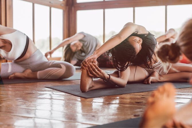 The Alchemist, Healing Meditation Yoga Retreat, Kerala , India - Quick key points before you commit