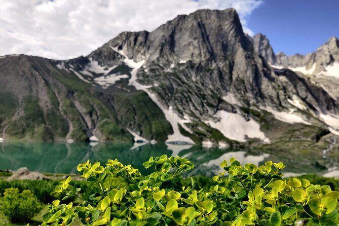 The Best Monsoon Trek: Kashmir Great Lakes - Day 2: Shitkadi to Nichinai camp, Nichinai Pass meadows, and maple trees