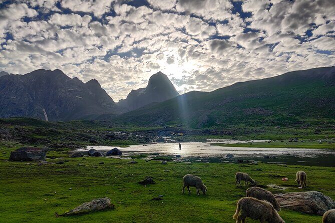 The Best Monsoon Trek: Kashmir Great Lakes - Day 4: Vishansar to Gadsar, the highest point on the trek (Gadsar Pass)