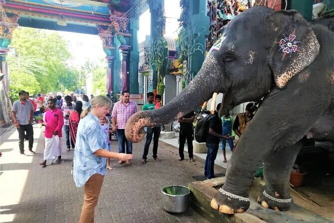 The Best of Pondicherry: A Private Sightseeing Tour - What you really get for $57 per person