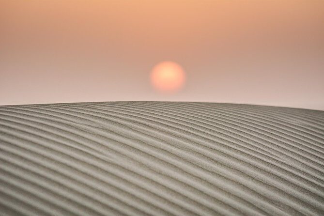 The Billion stars Experience in the Desert - Why the Thar Desert star time feels different from a day safari
