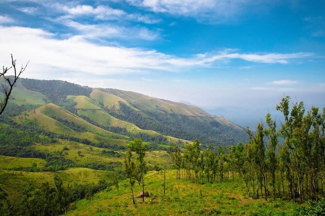 The Mysuru Maharaja Walk - The guide is the difference-maker
